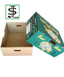 Fruit Box 19