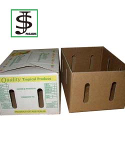 Fruit Box 20