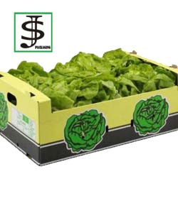 Fruit Box 21
