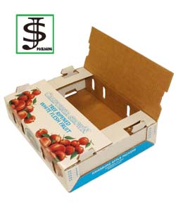 Fruit Box 16