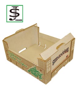 Fruit Box 04